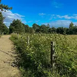 Peaceful Near Bjerge Sydstrand *
