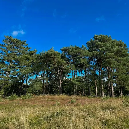 Peaceful Near Bjerge Sydstrand * Gorlev