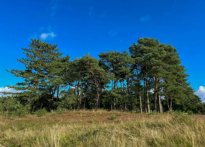 Peaceful Near Bjerge Sydstrand * Gorlev